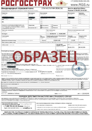 Медицинское страхование для несовершеннолетних на визу в Болгарию