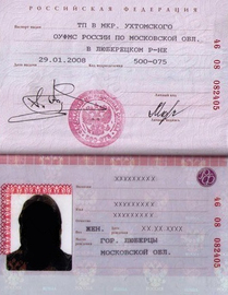 Паспорт гражданина рф для неработающих на визу в Иран