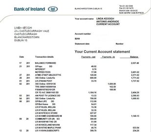 Выписка из банка приглашающего лица с движением средств за последние 6 месяцев для взрослых на визу в Ирландию